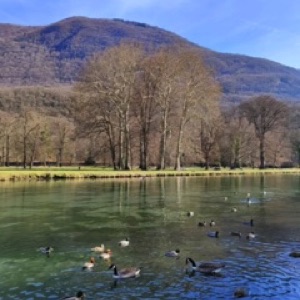 Découverte du château de Vizille et de son parc 🤩.#moutain #nature #park